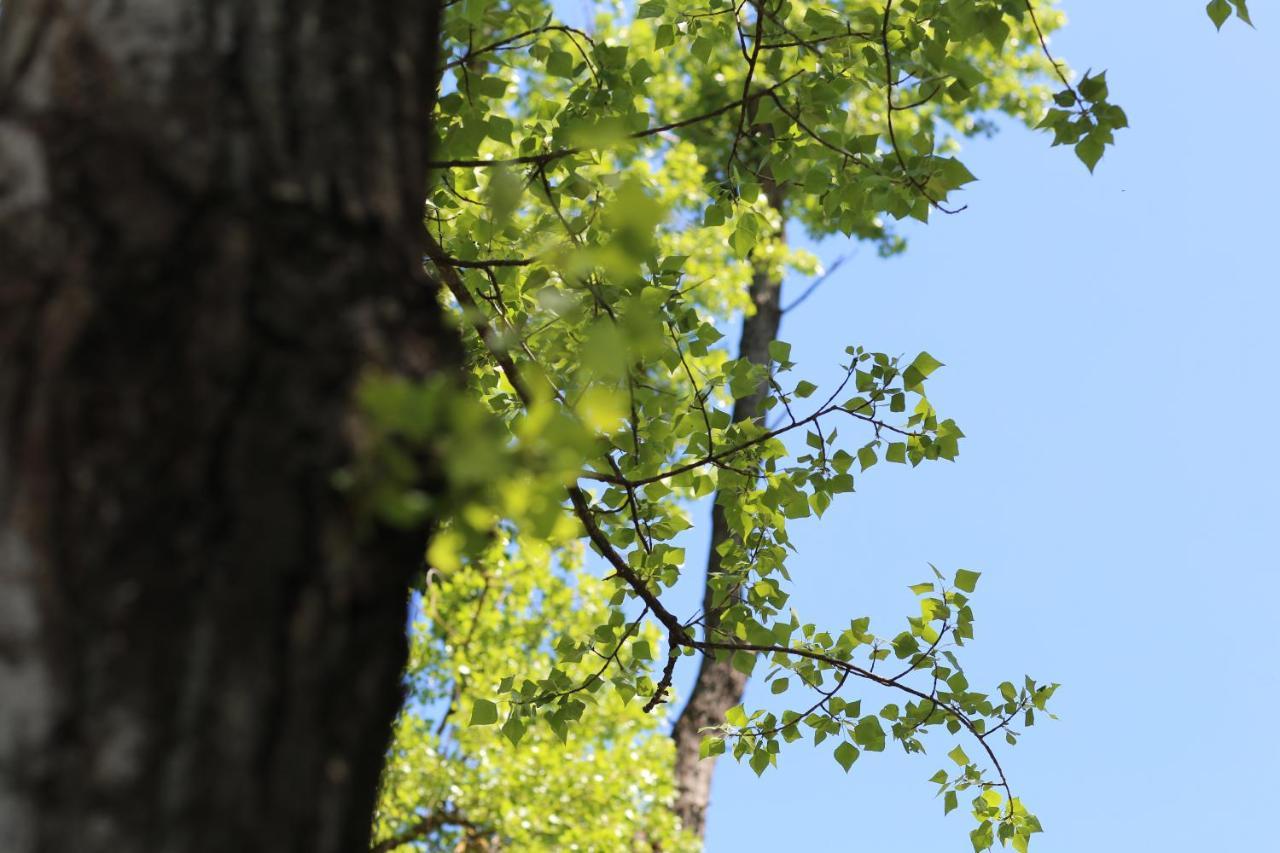 Masusa’ Aquara Bagian luar foto
